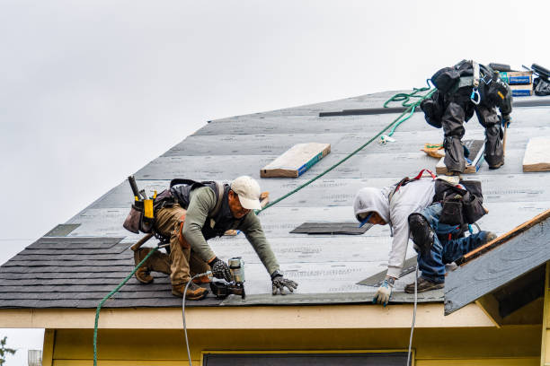 Professional Gutter Installation technician working in Temple, TX